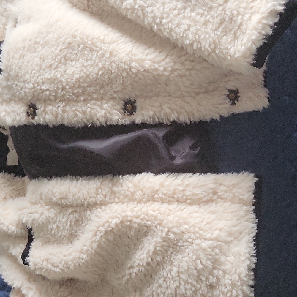 Jacket - Picture 3 of 3